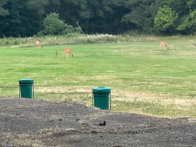12th St Driving Range photo